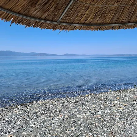 Seaside Village Politiká