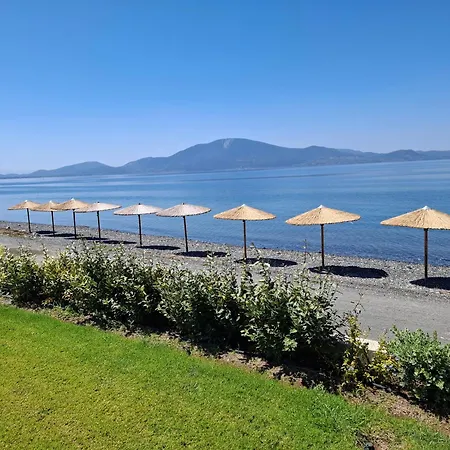 Seaside Village 펜션