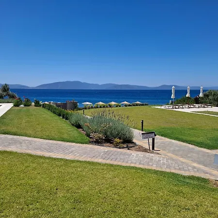 Seaside Village * Politiká